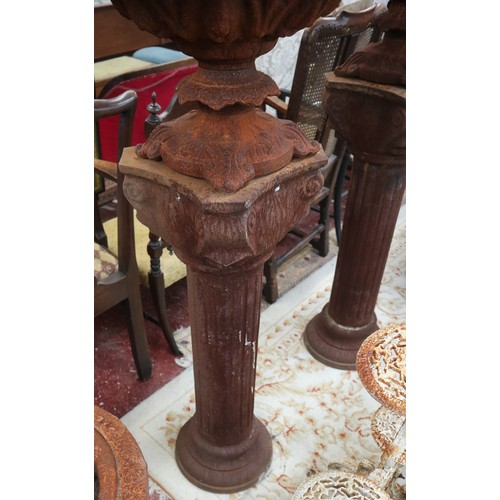 403 - Pair of tall cast iron planters on Ionic columns - Approx height: 130cm