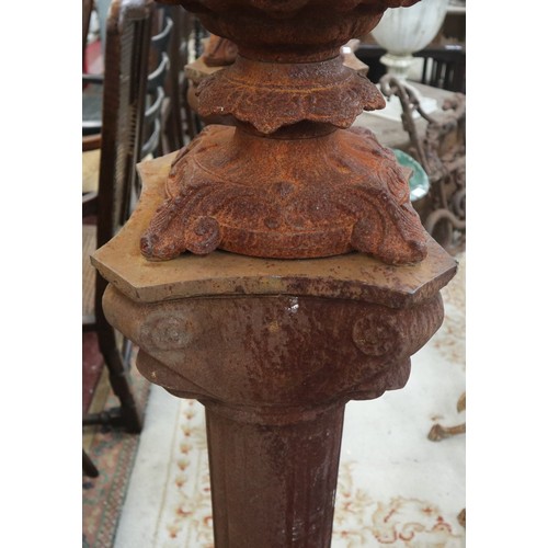 403 - Pair of tall cast iron planters on Ionic columns - Approx height: 130cm