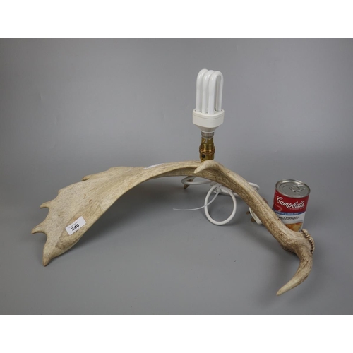 240 - Table lamp made from a fallow deer antler