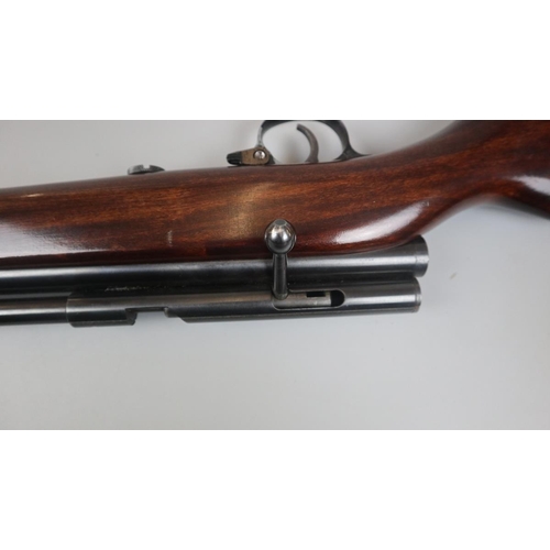 117 - Gas powered air rifle