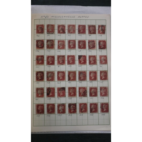 142 - Stamps - Great Britain 1d red plates (374) on album pages