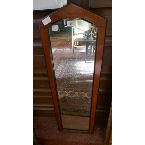 481 - Mahogany framed mirror