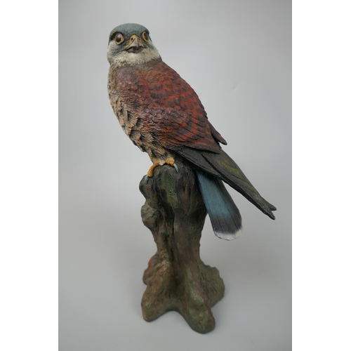 492 - Kestrel bird ornament - Approx height: 32cm