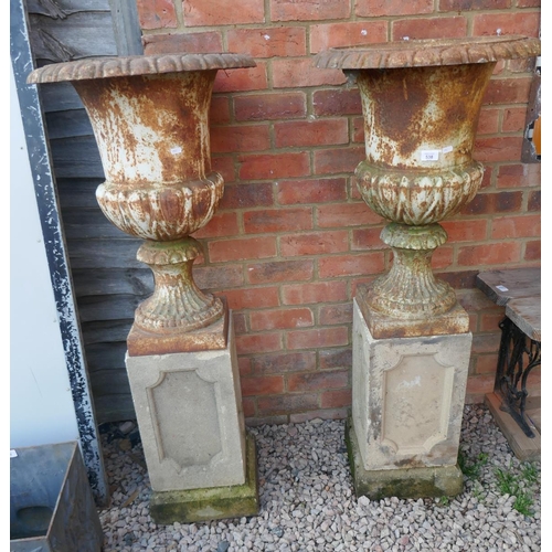 538 - Pair of Victorian cast iron planters on stone plinths - Approx height: 127cm