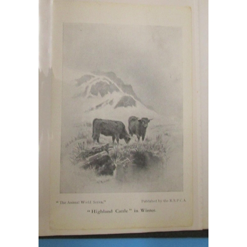 149 - 2 postcard albums of cattle - to include Harry Payne and AR Quinton