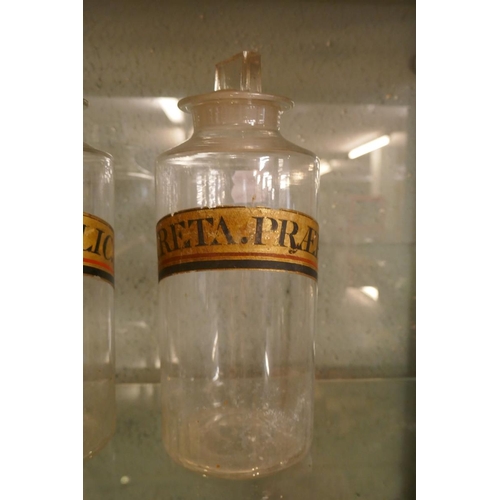 194 - Pair of chemist’s jars