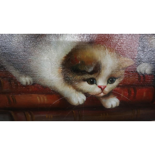 350 - Attributed to Agnes Augusta Talboys - Oil on canvas - Kittens in a Library - Approx IS: 62cm x 50cm