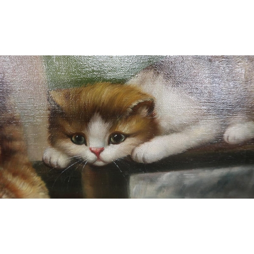 350 - Attributed to Agnes Augusta Talboys - Oil on canvas - Kittens in a Library - Approx IS: 62cm x 50cm