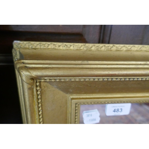 483 - Gilt framed mirror