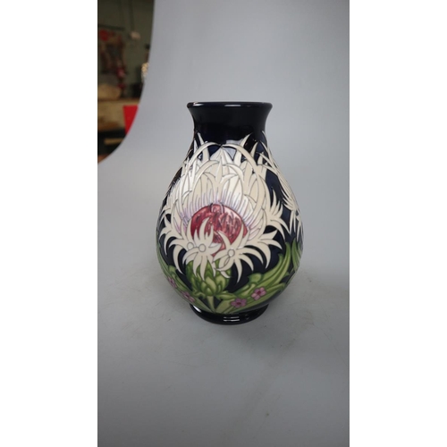 189 - Moorcroft vase - origin 74/7 by Rachel Bishop L/E 14 of 40 - Approx height 19cm