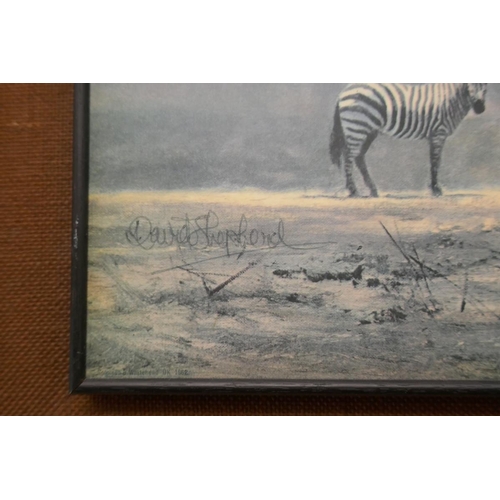 270 - Signed zebra print by David Shepherd 1962