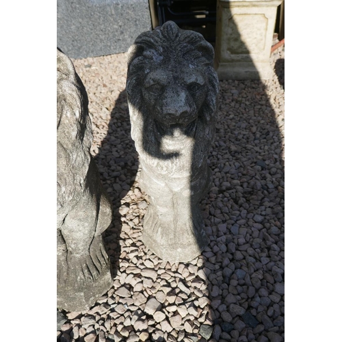 425 - Pair of stone lion garden figures - Approx height 50cm