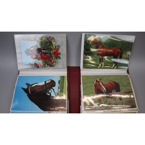 242 - Album of colourful horse-themed postcards