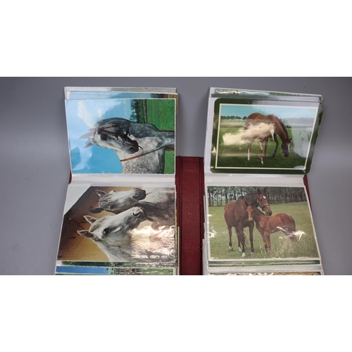 242 - Album of colourful horse-themed postcards