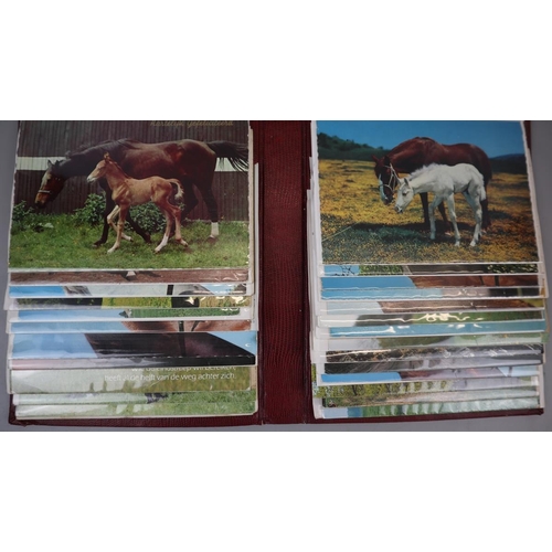 242 - Album of colourful horse-themed postcards