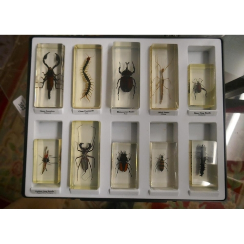 304 - 2 boxed sets of varied insects set in resin blocks