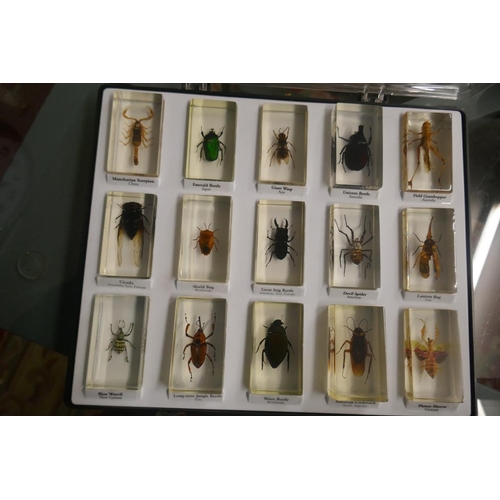 304 - 2 boxed sets of varied insects set in resin blocks