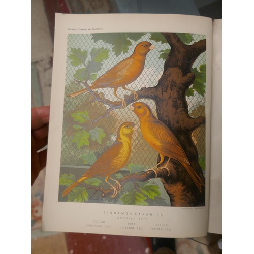 307 - Book of Canaries and Caged Birds dated 1884 (many now extinct)