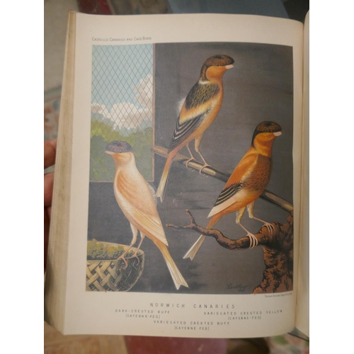 307 - Book of Canaries and Caged Birds dated 1884 (many now extinct)