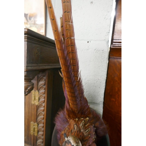 316 - Wall hanging taxidermy bust of a pheasant