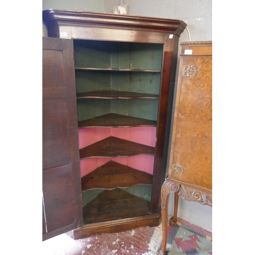 481 - Georgian oak freestanding corner cupboard  - Approx size: W: 100cm D: 57cm H: 177cm