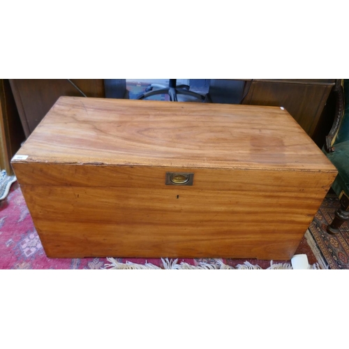 484 - Large camphor wood box  - Approx size: W: 105cm D: 52cm H: 49cm