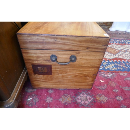 484 - Large camphor wood box  - Approx size: W: 105cm D: 52cm H: 49cm