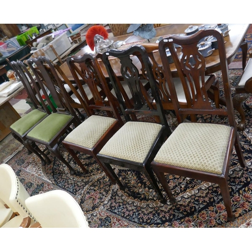 503 - 5 dining chairs