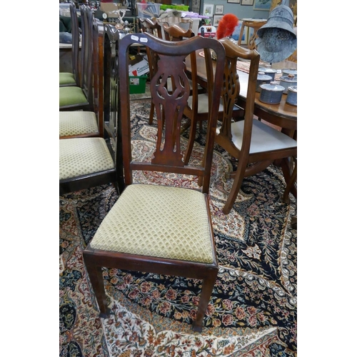 503 - 5 dining chairs