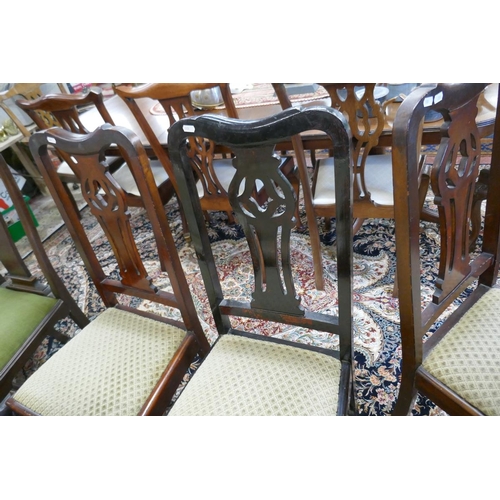 503 - 5 dining chairs