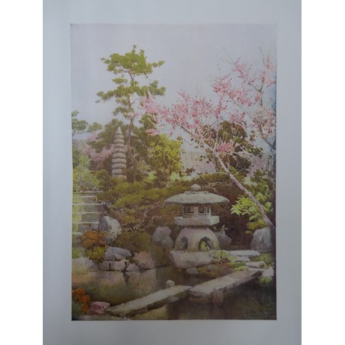 199 - 1911 book - The Flowers and Gardens of Japan painted by Ella Duncan