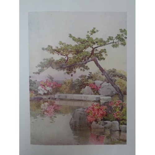 199 - 1911 book - The Flowers and Gardens of Japan painted by Ella Duncan