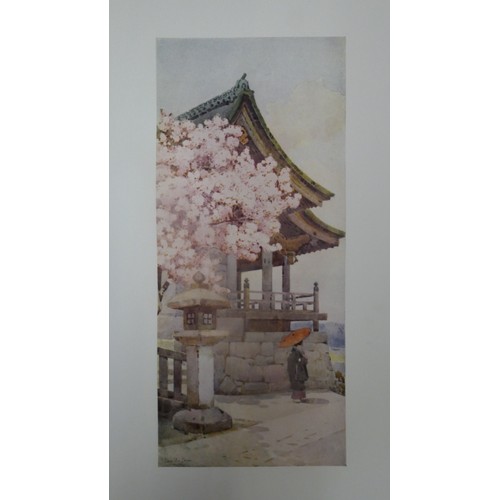 199 - 1911 book - The Flowers and Gardens of Japan painted by Ella Duncan