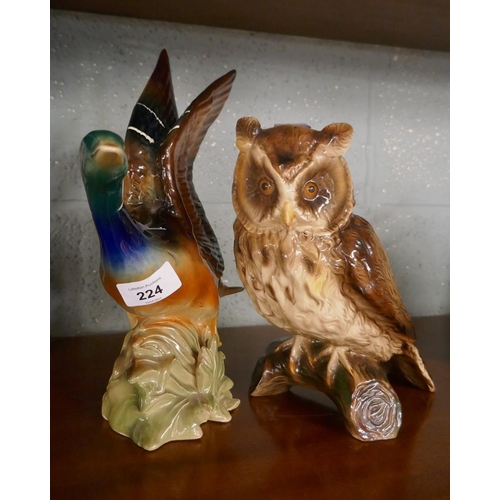 224 - Large Gemma mallard together with a large Gemma owl