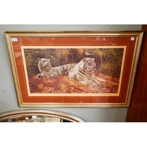 340 - L/E signed print - White Tigers Ever Watchful by Anthony Gibbs