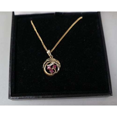 65 - 9ct gold ruby set pendant on 9ct gold chain - Approx gross weight: 5.8g