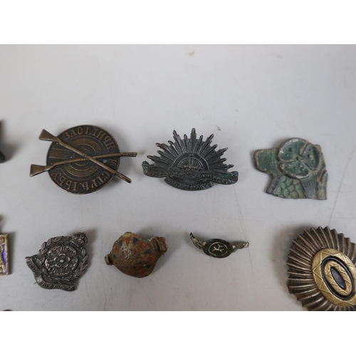 160 - Metal detector finds & cap badges