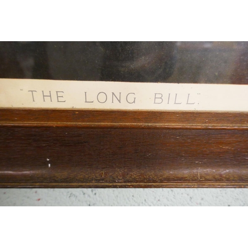 323 - Pears print - The Long Bill