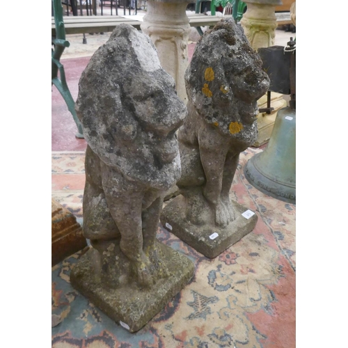 373 - Pair of stone lions - Approx height: 57cm