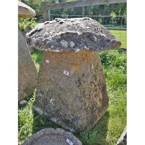39 - Staddle stone