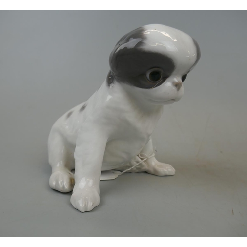 220 - Royal Copenhagen model of a young Pekinese No.448 dated pre 1923