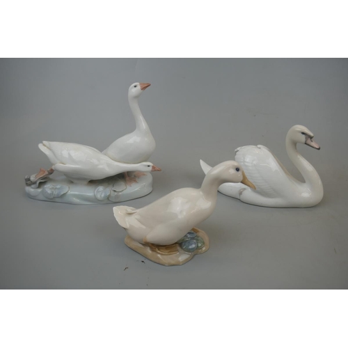 222 - Royal Copenhagen 2 white geese together with a duck and swan. Geese No.609 dated pre 1923. Duck of s... 