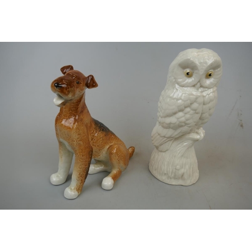 247 - USSR airdale dog together with Paragon china owl