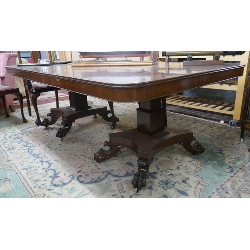 398 - William IV 2 pilar mahogany dining table