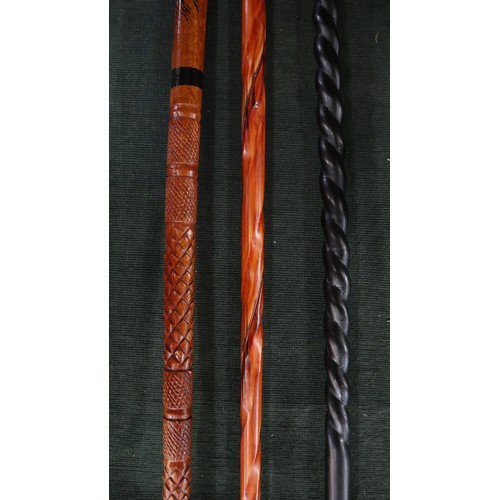 286 - Collection of walking sticks