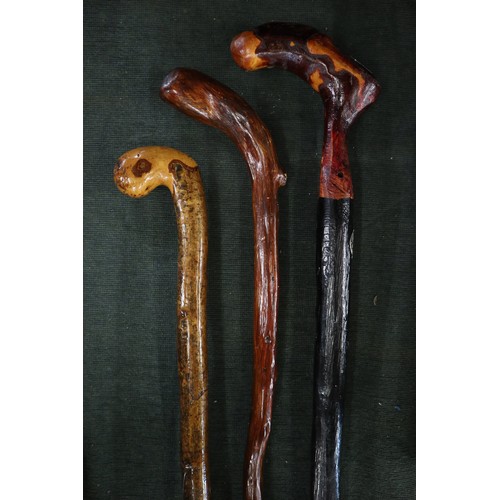 286 - Collection of walking sticks