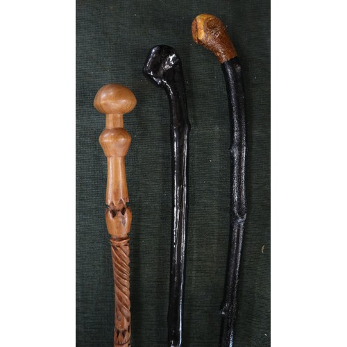 286 - Collection of walking sticks