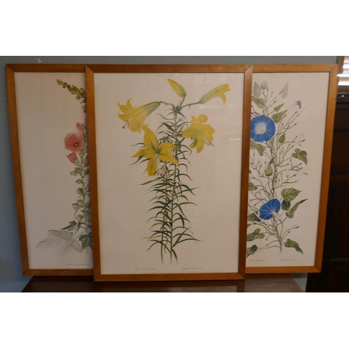 416 - 3 botanical water colours signed Margaret Tarran