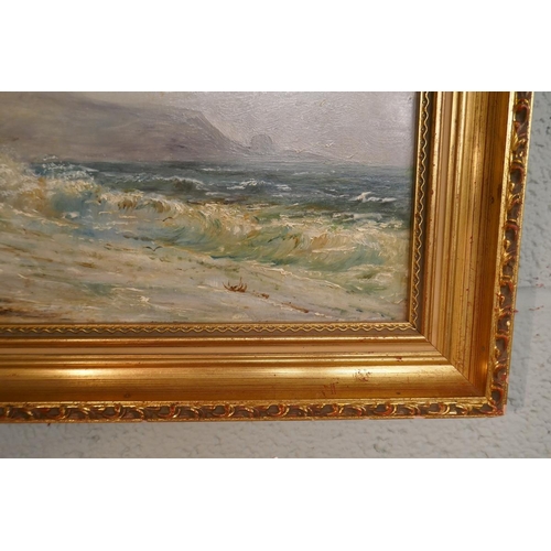 355 - Coastal scene oil on board signed MS Goake - Image size: 36cm x 24cm