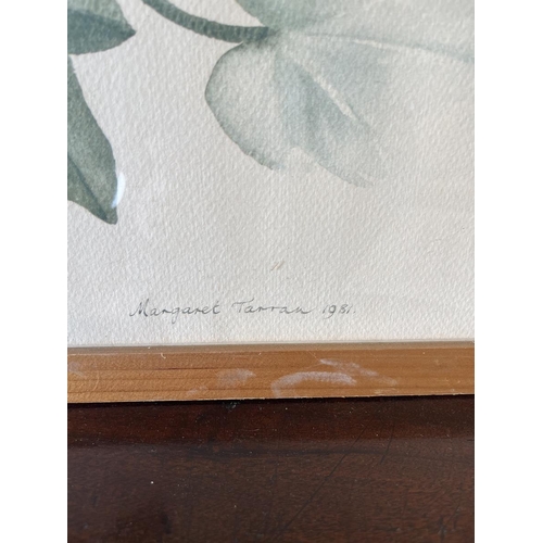 416 - 3 botanical water colours signed Margaret Tarran